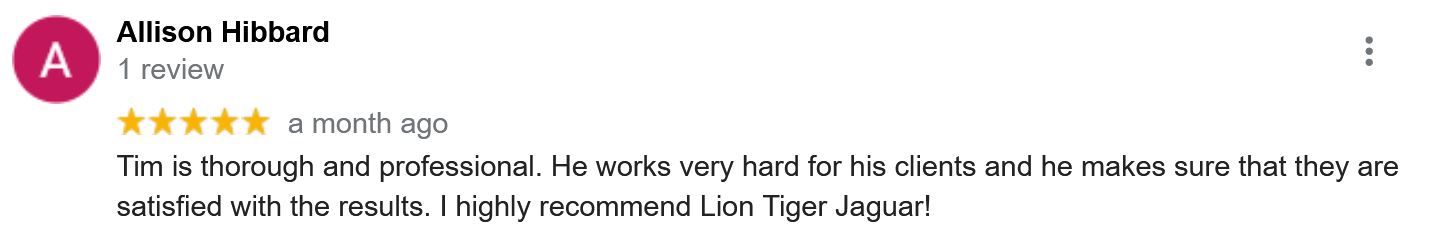 Tim is thorough and professional. He works very hard for his clients and he makes sure that they are satisfied with the results. I highly recommend Lion Tiger Jaguar!